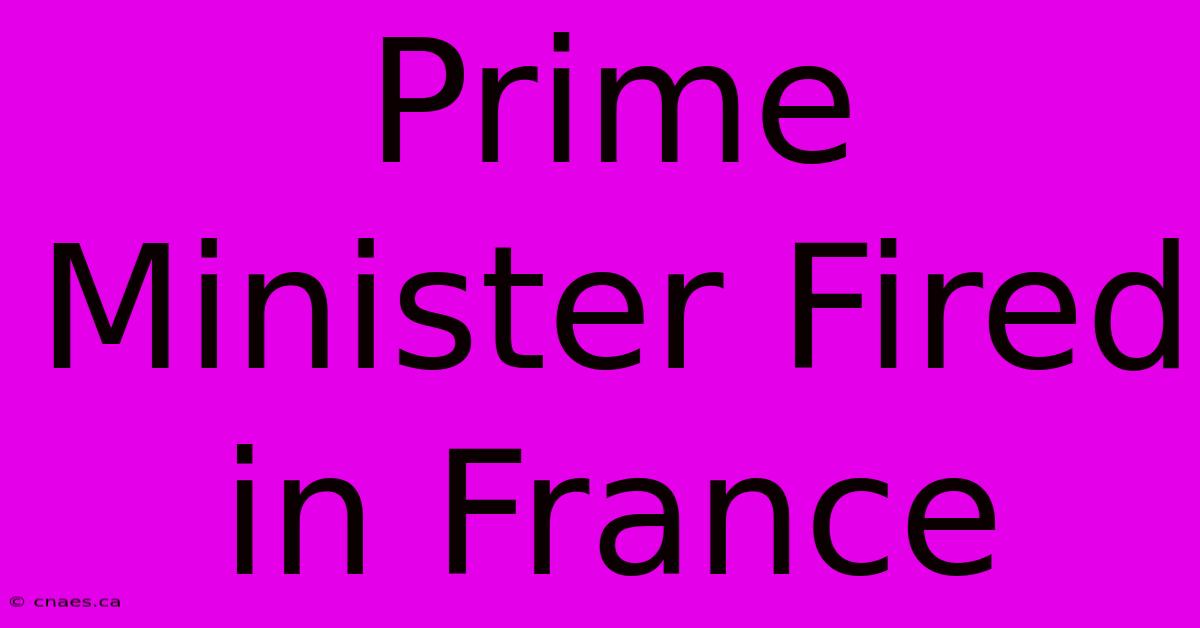 Prime Minister Fired In France