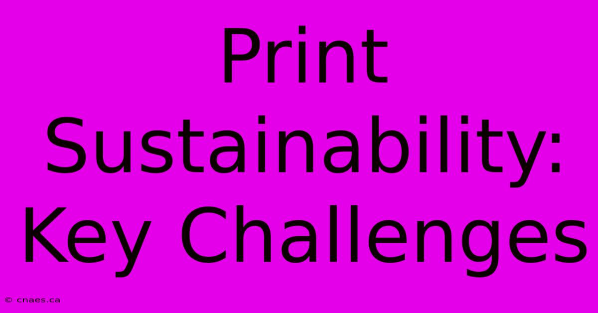 Print Sustainability: Key Challenges