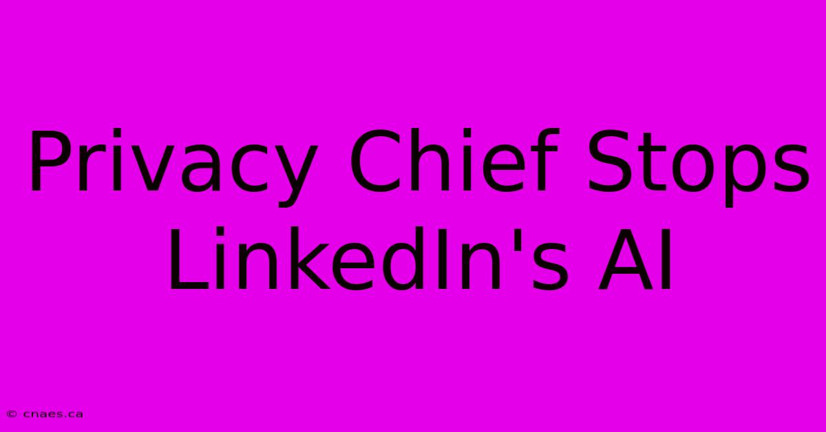 Privacy Chief Stops LinkedIn's AI