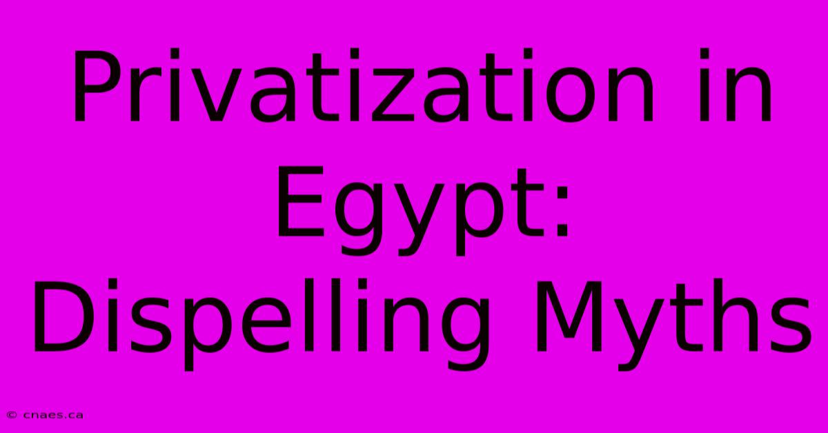 Privatization In Egypt: Dispelling Myths