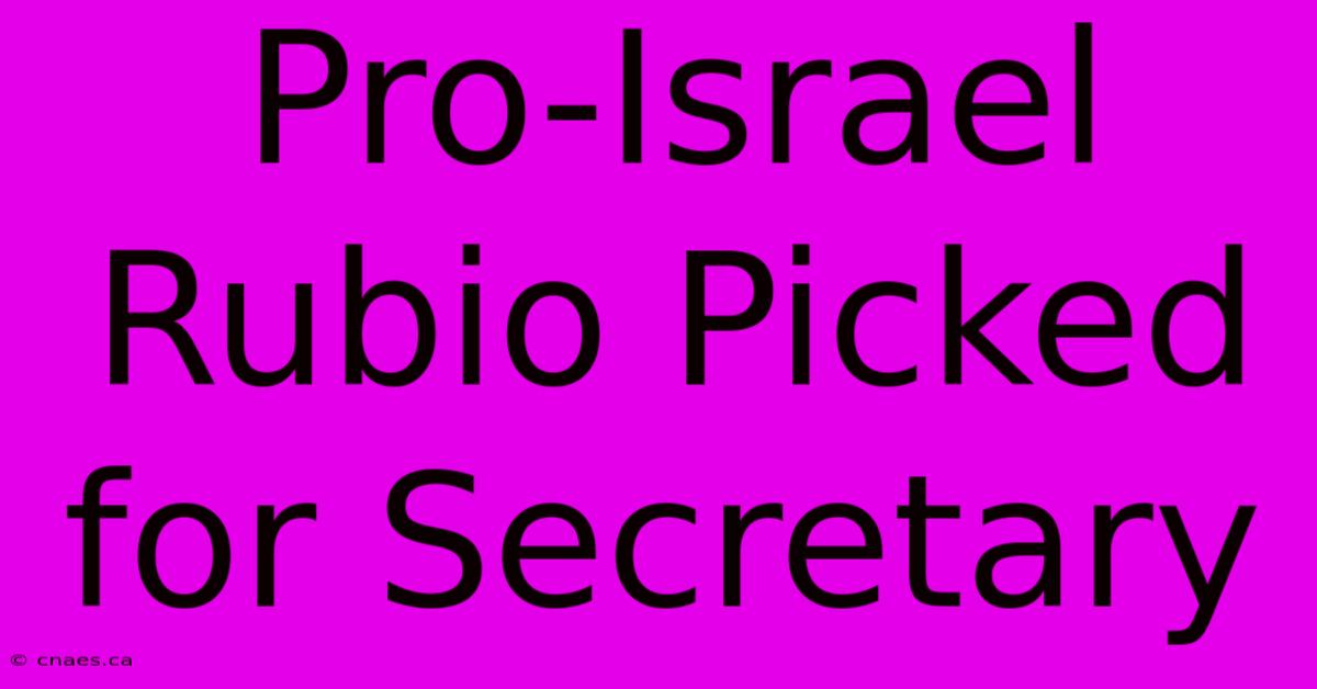 Pro-Israel Rubio Picked For Secretary 