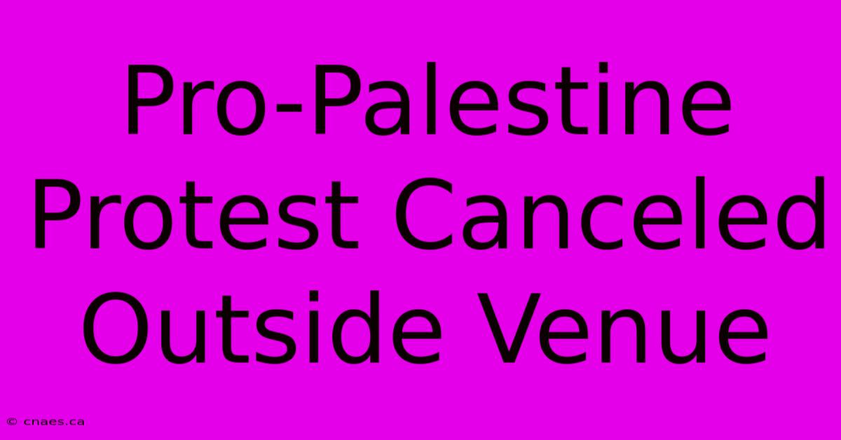 Pro-Palestine Protest Canceled Outside Venue