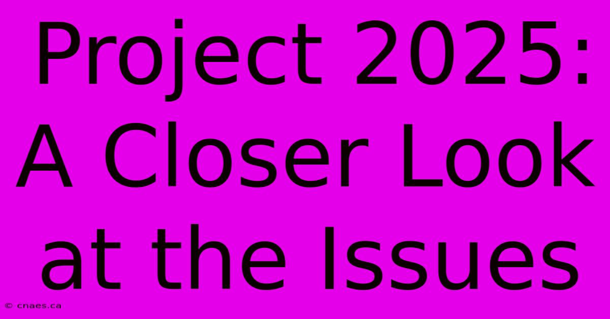 Project 2025: A Closer Look At The Issues 