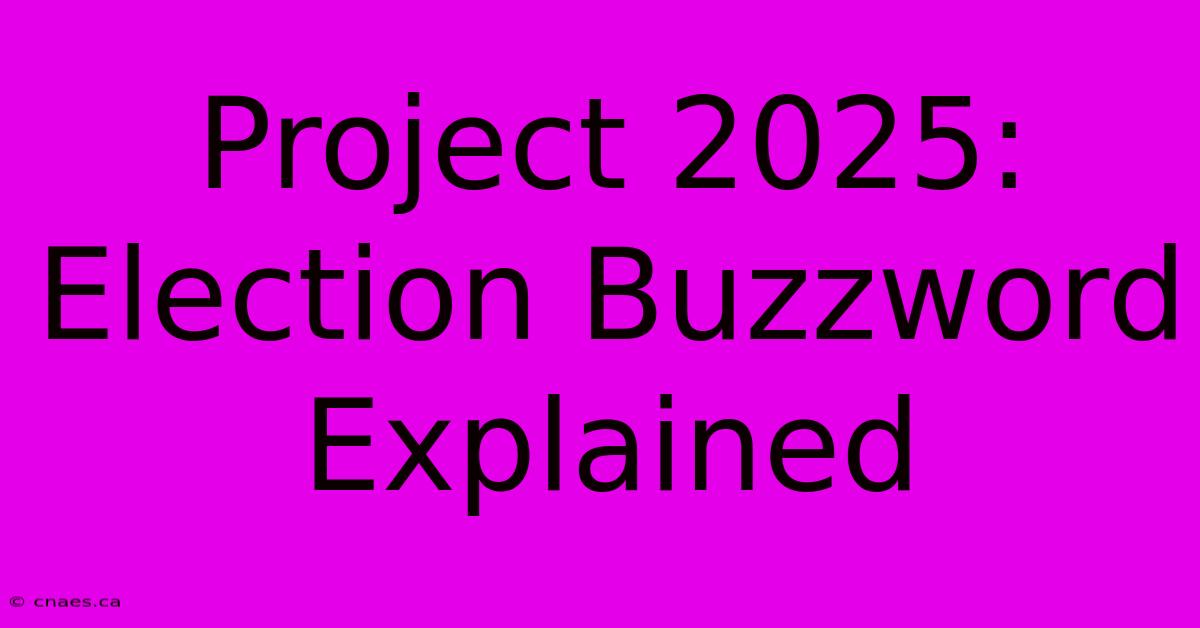 Project 2025: Election Buzzword Explained