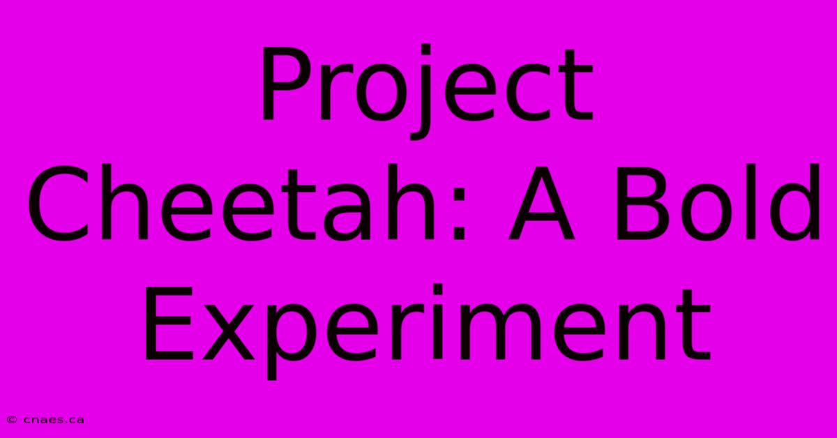 Project Cheetah: A Bold Experiment