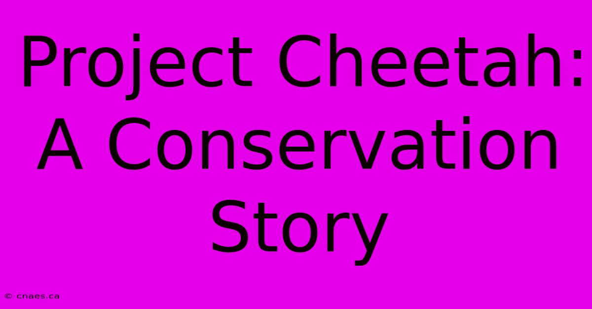 Project Cheetah: A Conservation Story