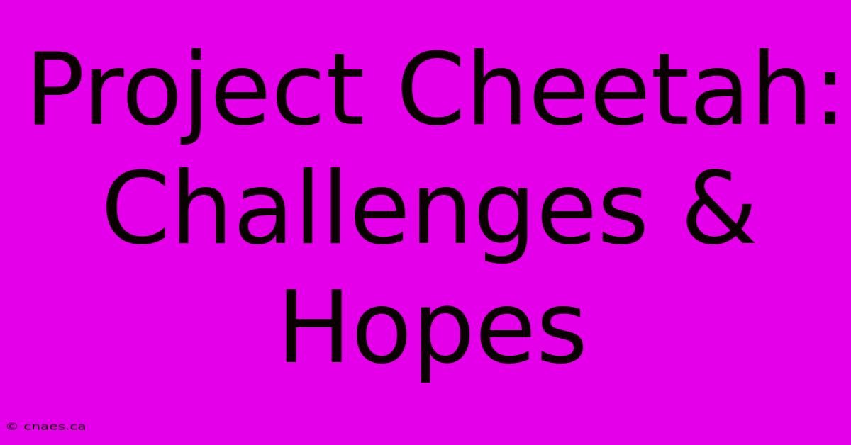 Project Cheetah: Challenges & Hopes