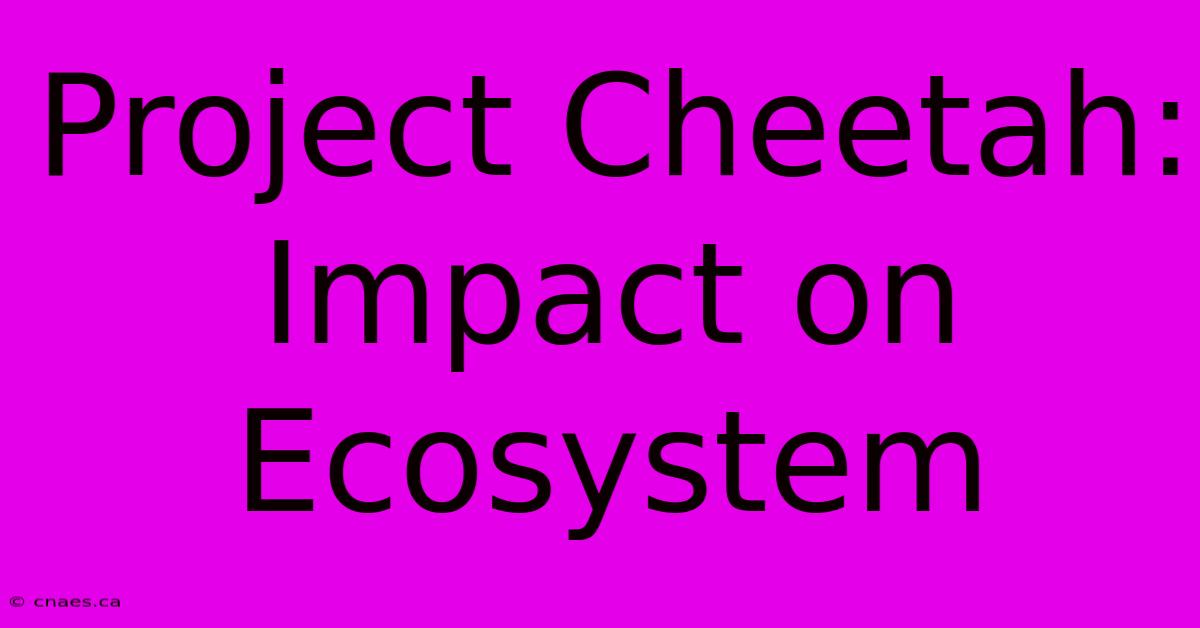 Project Cheetah: Impact On Ecosystem