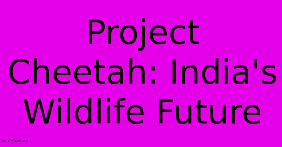 Project Cheetah: India's Wildlife Future