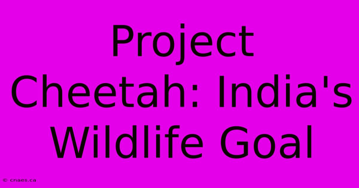 Project Cheetah: India's Wildlife Goal