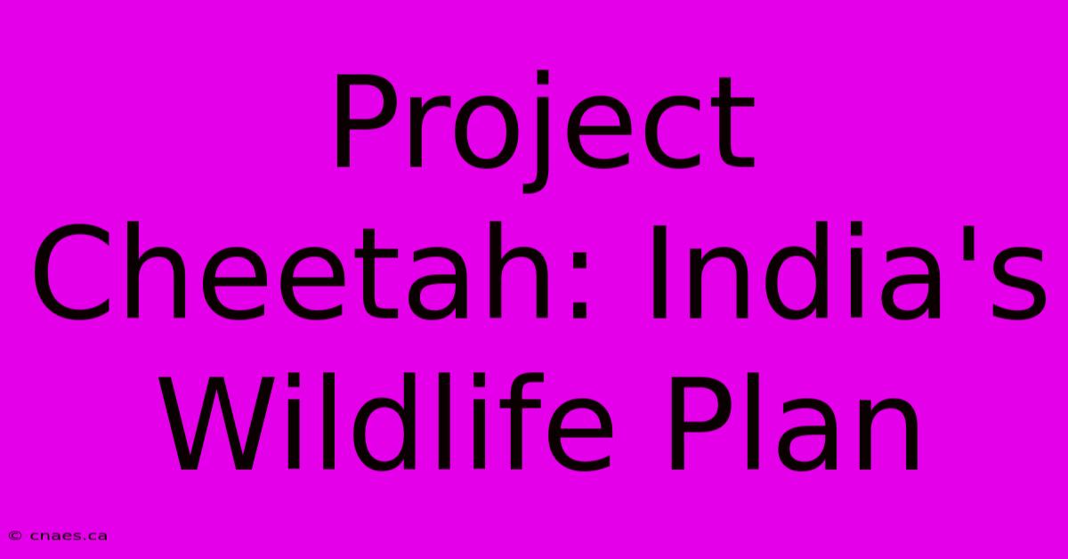 Project Cheetah: India's Wildlife Plan