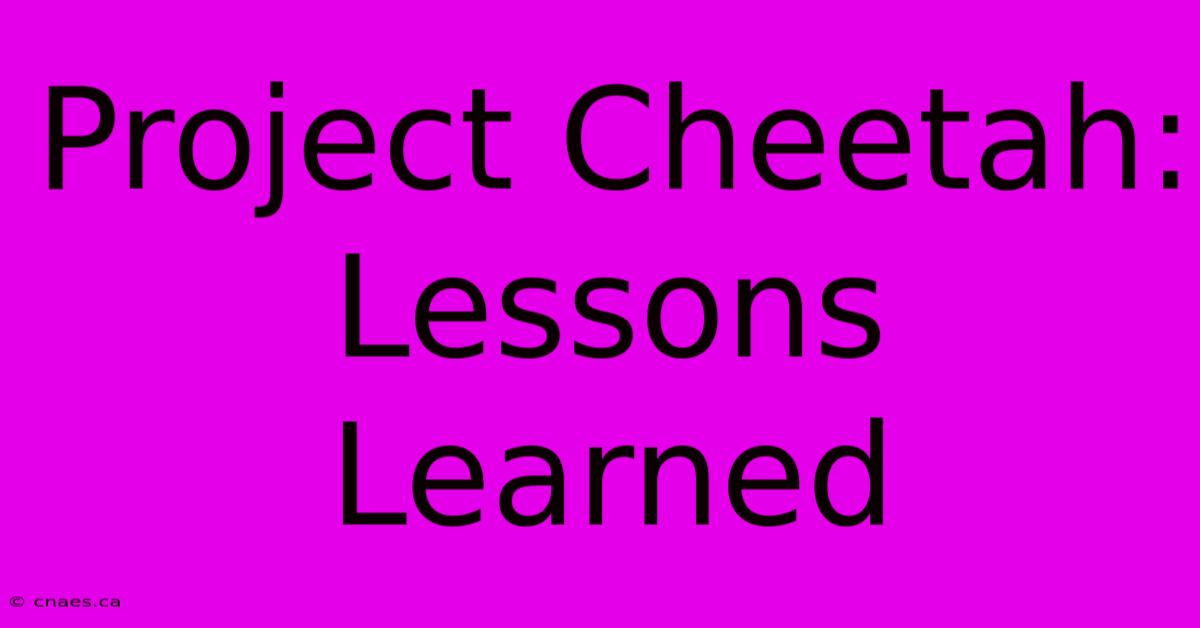 Project Cheetah: Lessons Learned