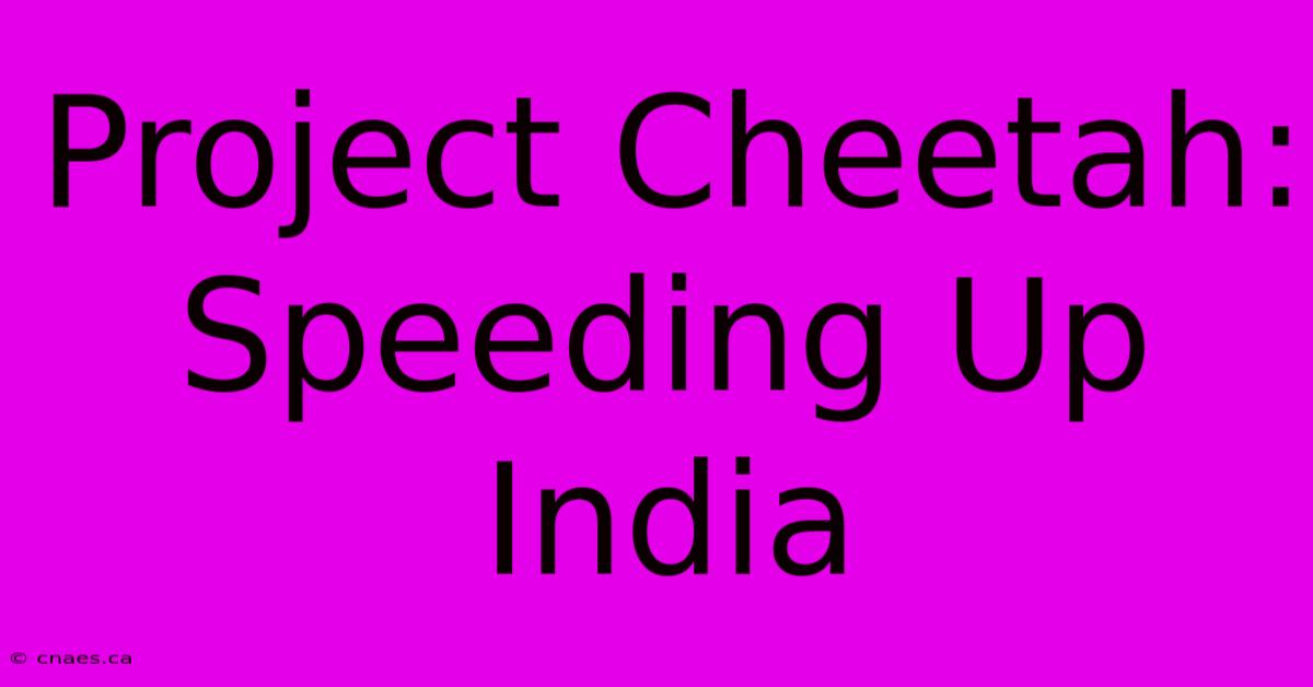 Project Cheetah: Speeding Up India