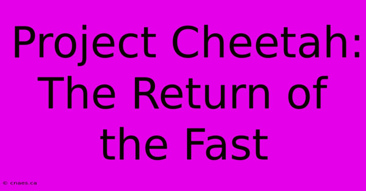 Project Cheetah: The Return Of The Fast