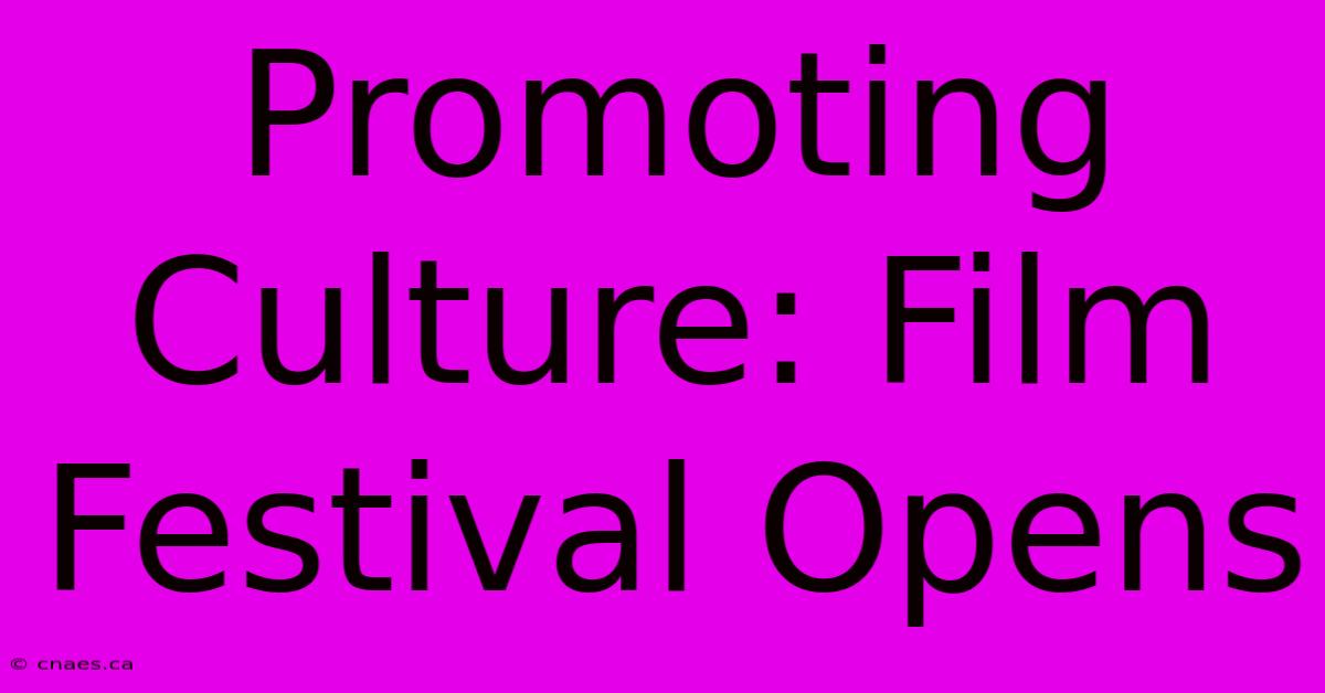 Promoting Culture: Film Festival Opens