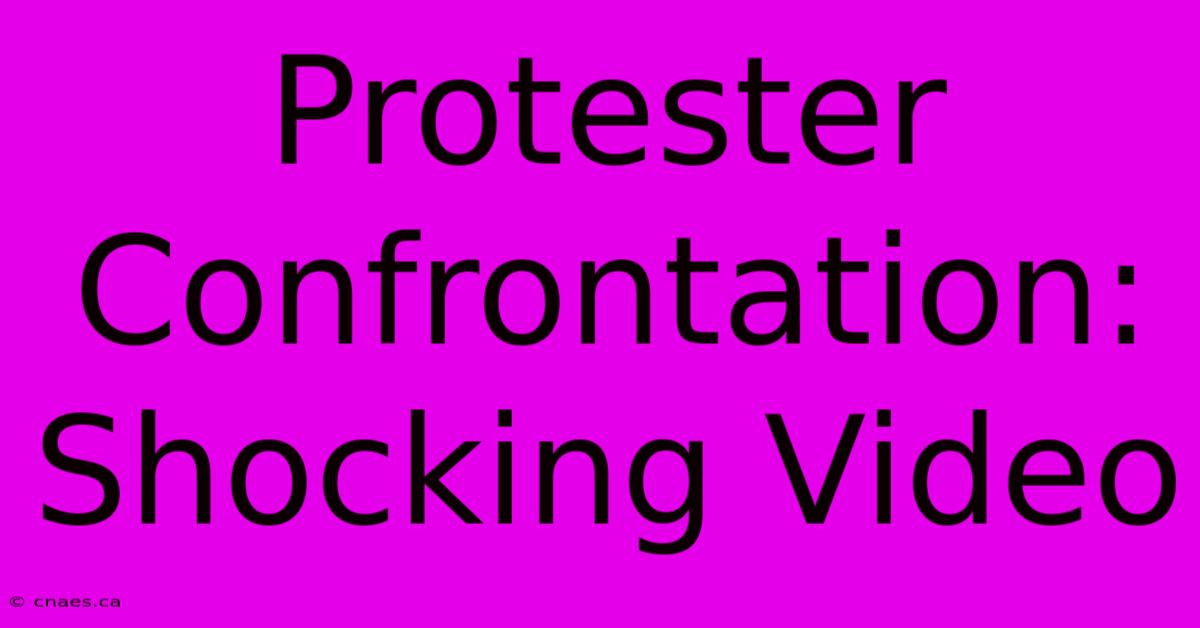 Protester Confrontation: Shocking Video