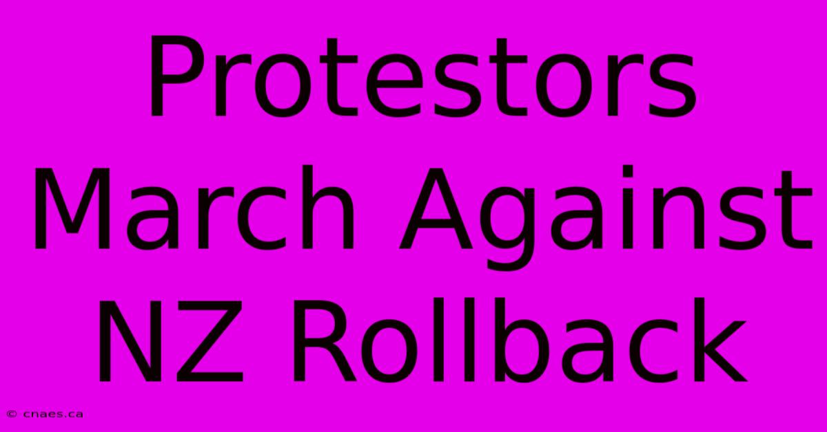 Protestors March Against NZ Rollback