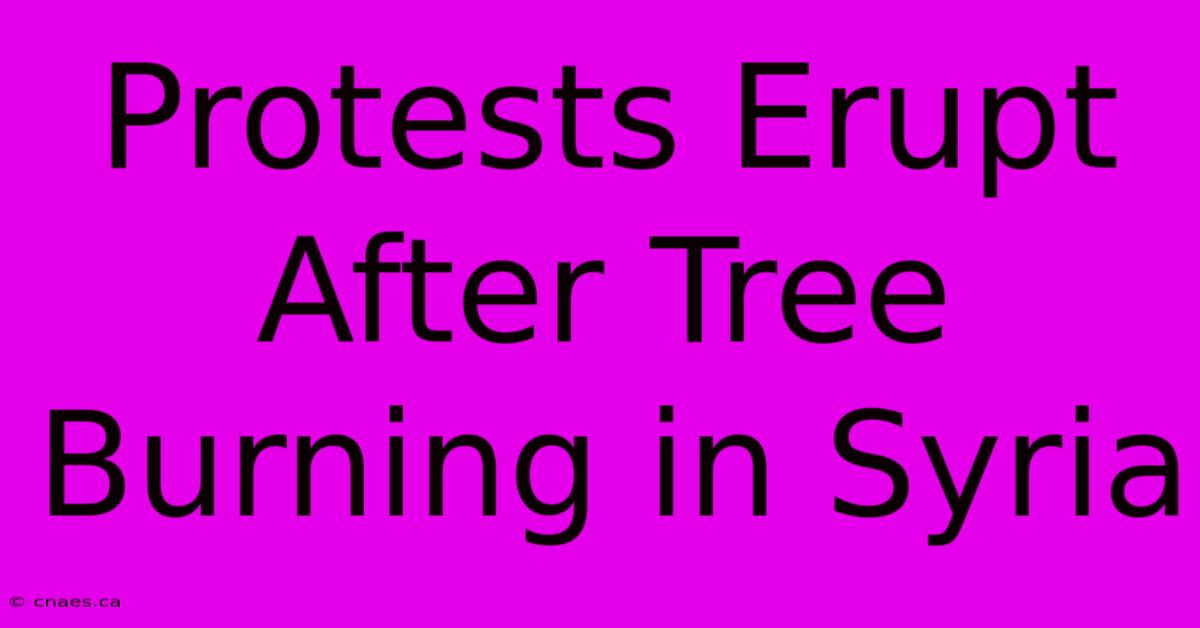 Protests Erupt After Tree Burning In Syria