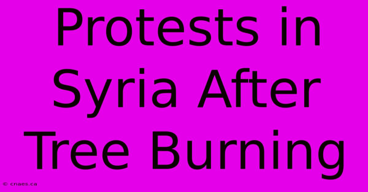 Protests In Syria After Tree Burning