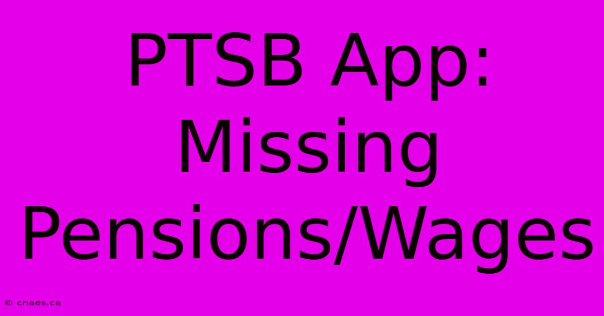 PTSB App: Missing Pensions/Wages