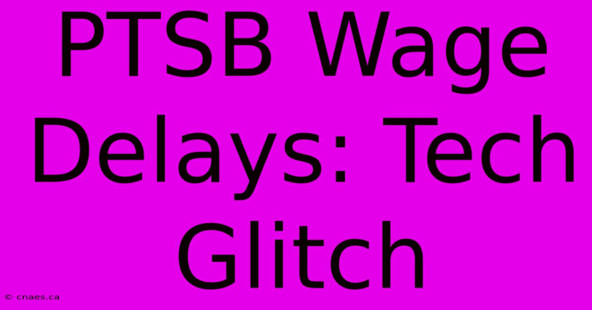 PTSB Wage Delays: Tech Glitch