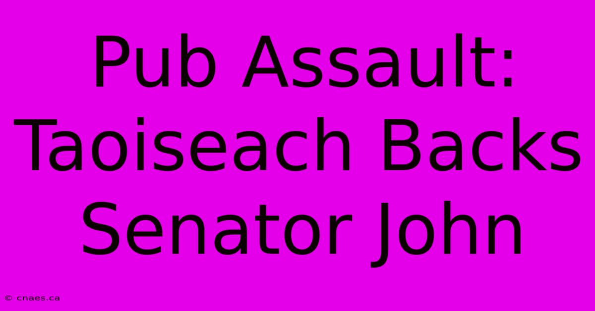 Pub Assault: Taoiseach Backs Senator John