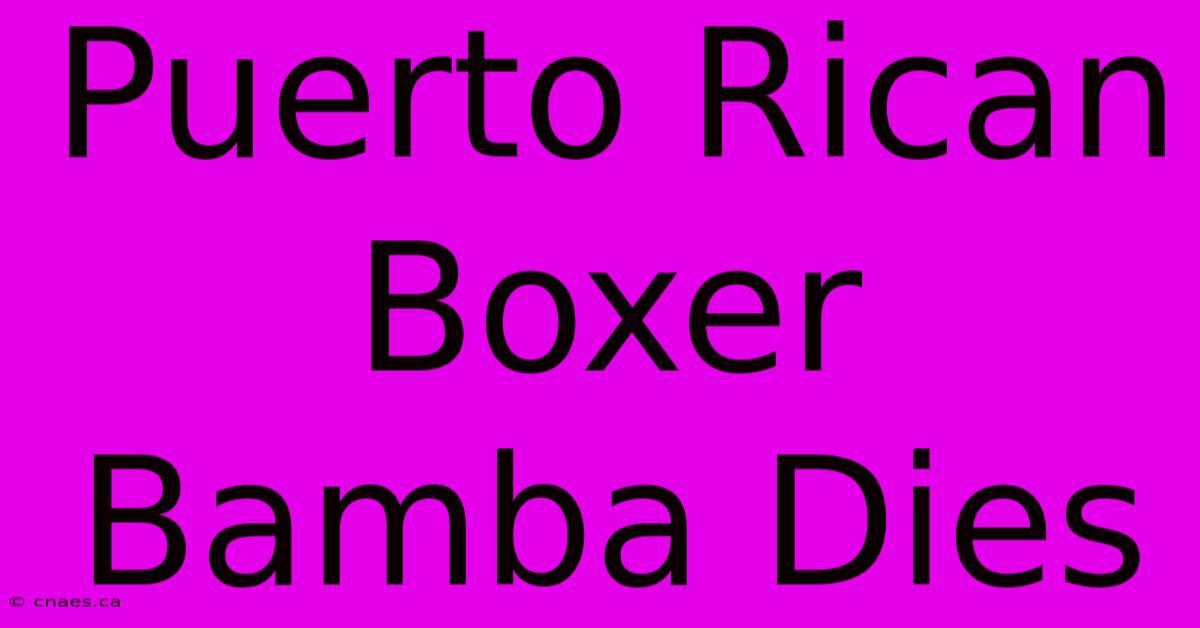 Puerto Rican Boxer Bamba Dies