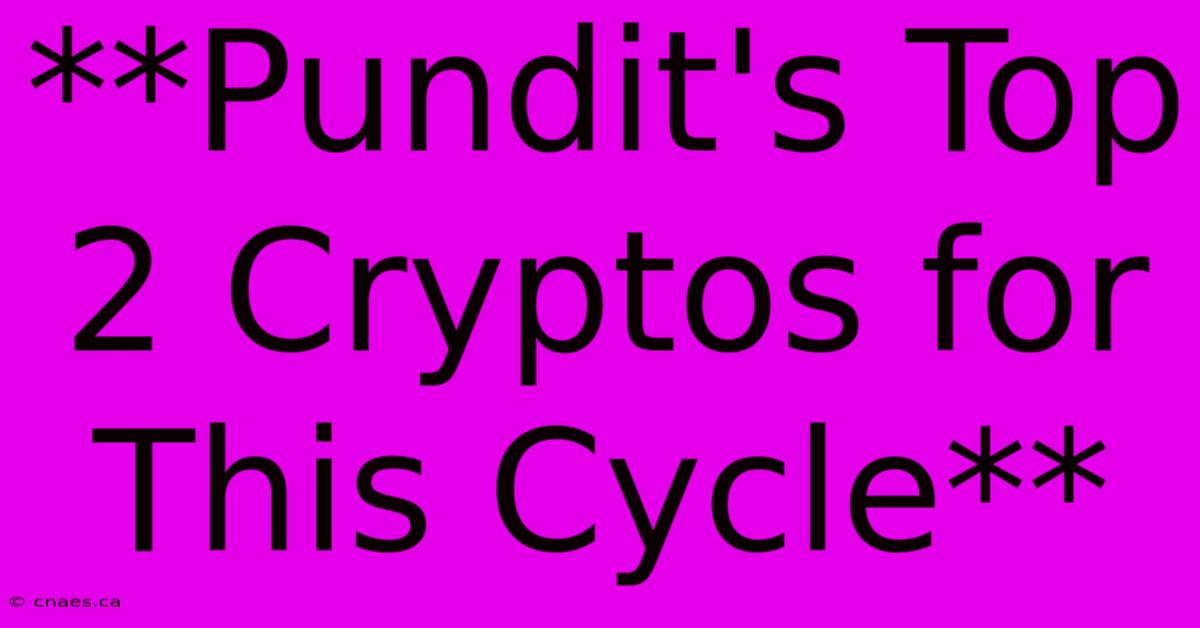 **Pundit's Top 2 Cryptos For This Cycle** 