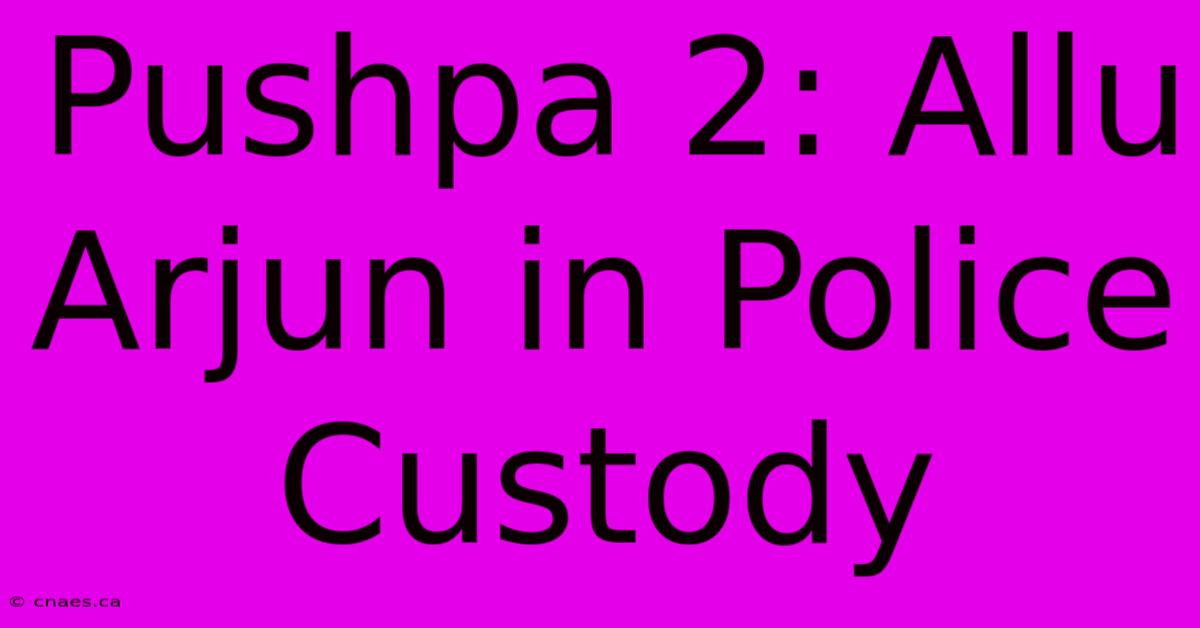 Pushpa 2: Allu Arjun In Police Custody