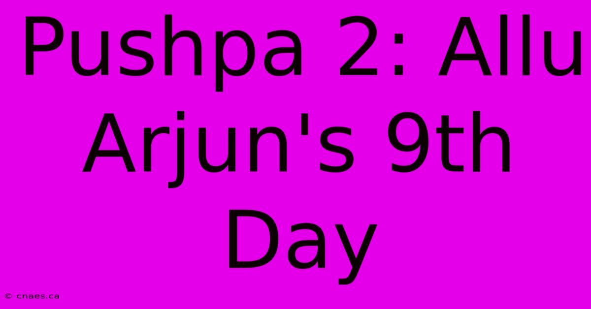 Pushpa 2: Allu Arjun's 9th Day