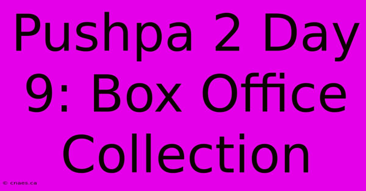 Pushpa 2 Day 9: Box Office Collection