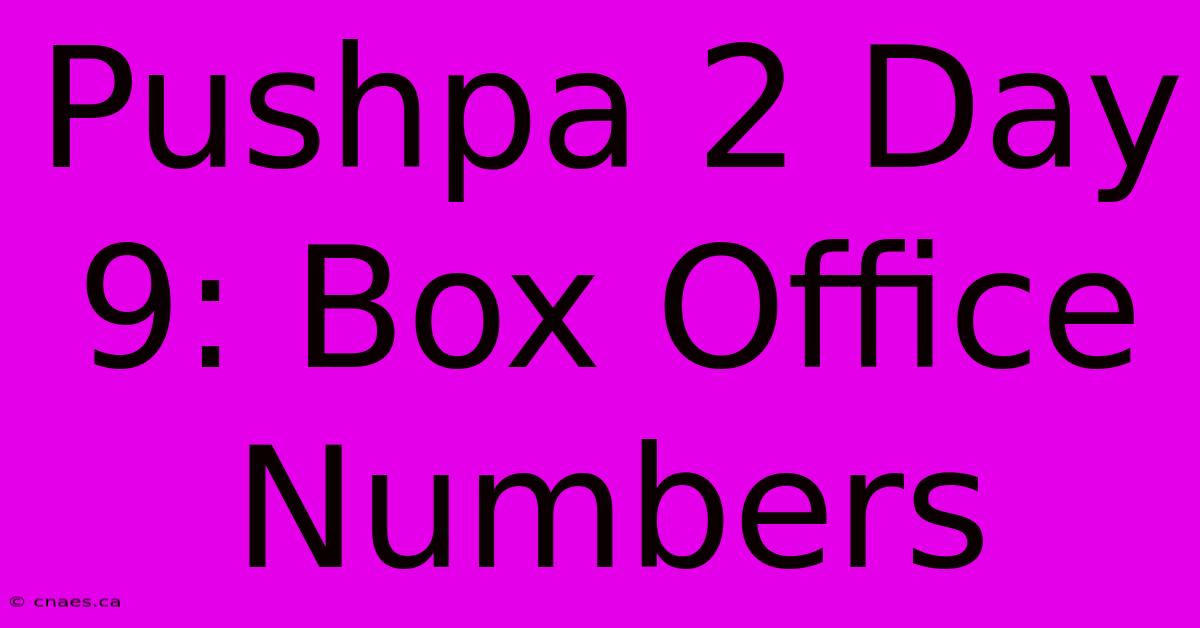 Pushpa 2 Day 9: Box Office Numbers