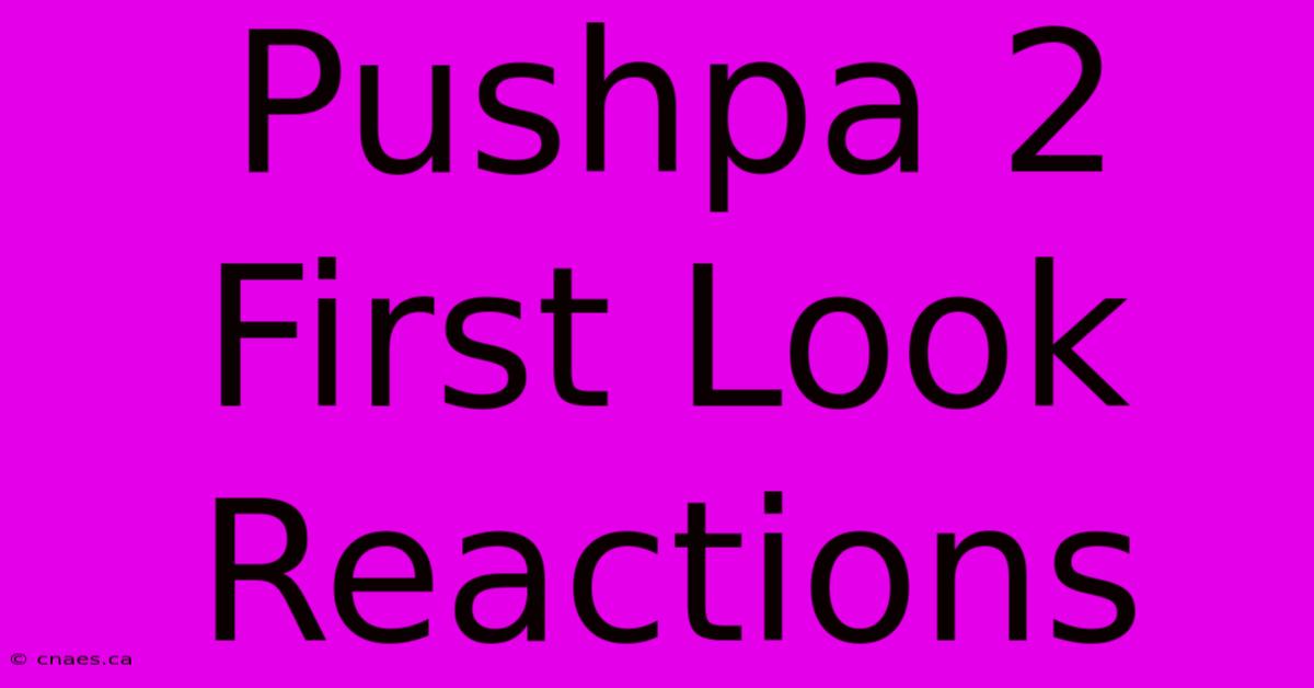 Pushpa 2 First Look Reactions