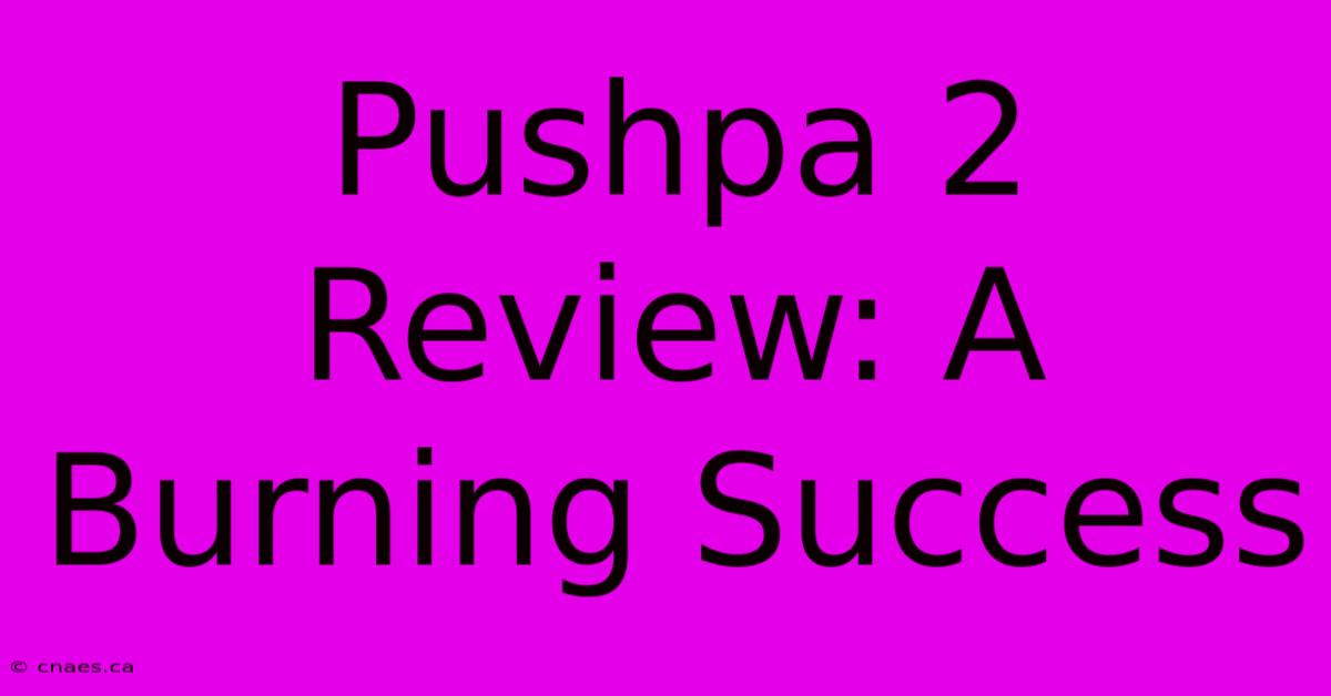 Pushpa 2 Review: A Burning Success