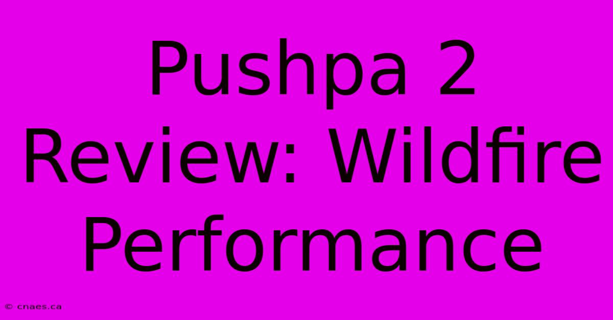 Pushpa 2 Review: Wildfire Performance