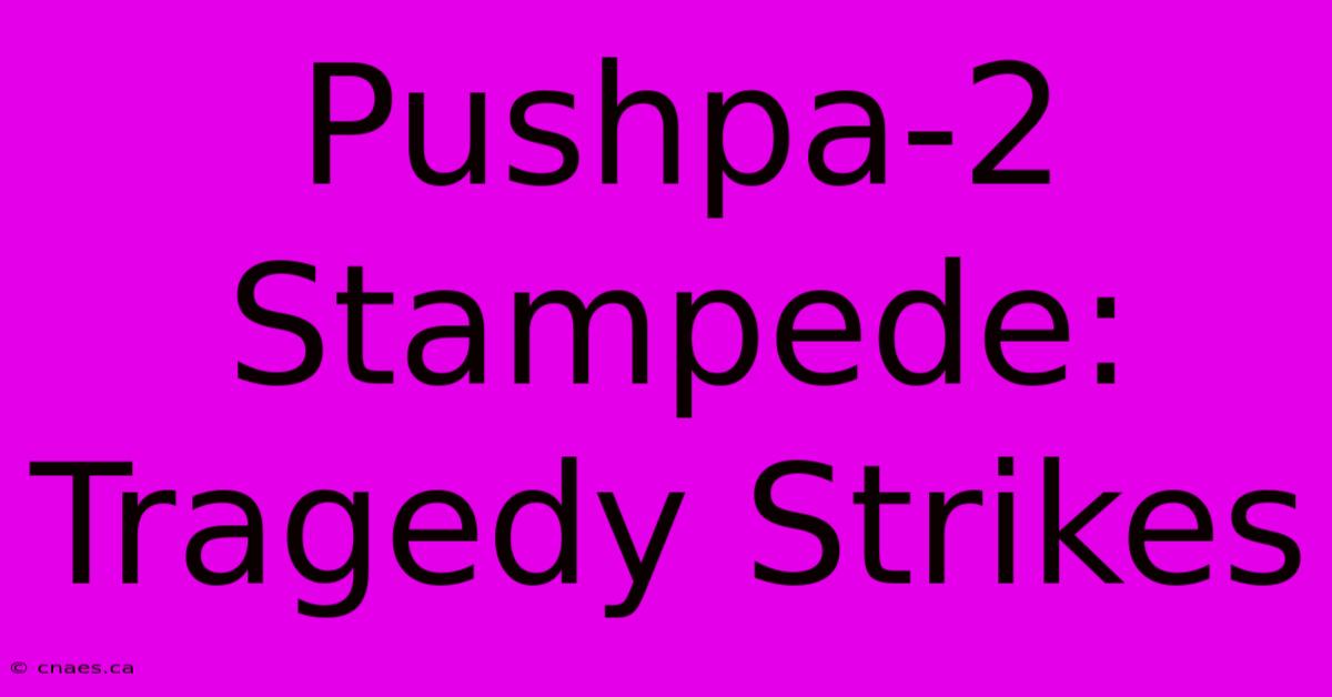 Pushpa-2 Stampede: Tragedy Strikes