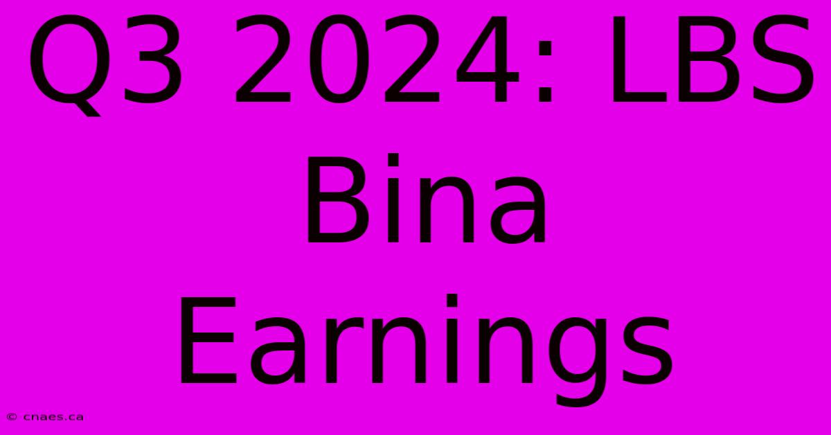 Q3 2024: LBS Bina Earnings