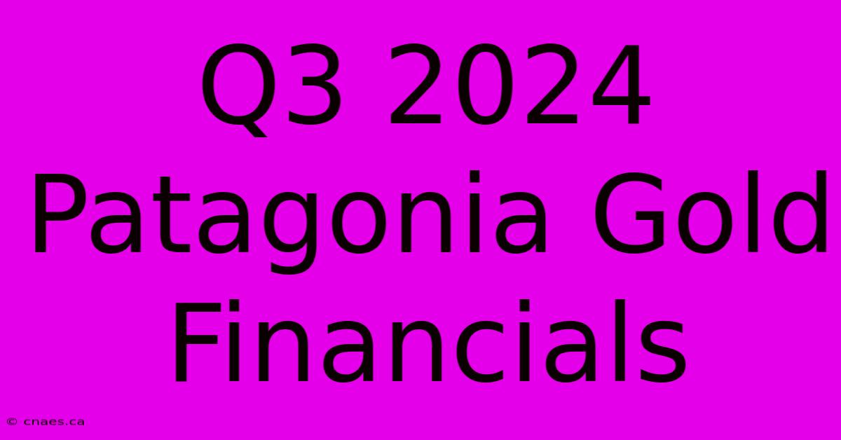 Q3 2024 Patagonia Gold Financials