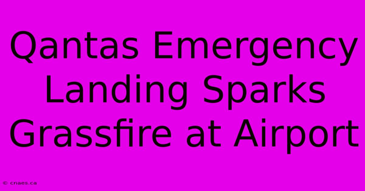 Qantas Emergency Landing Sparks Grassfire At Airport