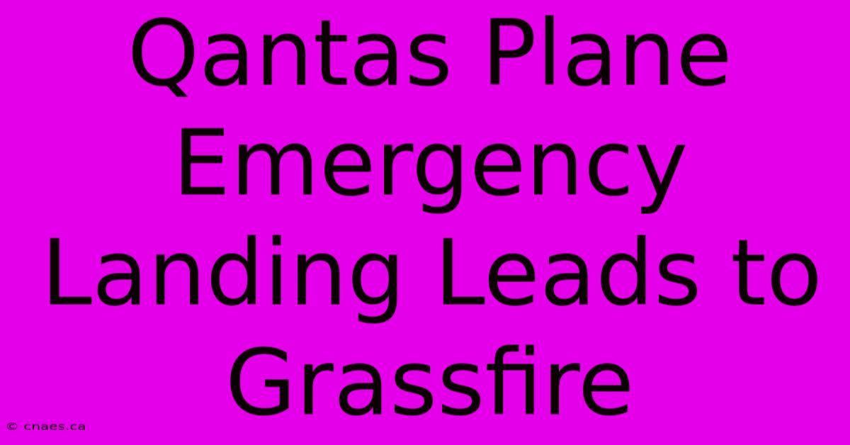 Qantas Plane Emergency Landing Leads To Grassfire 