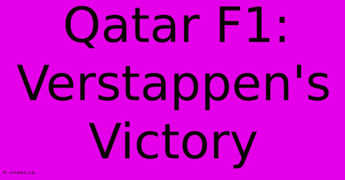 Qatar F1: Verstappen's Victory