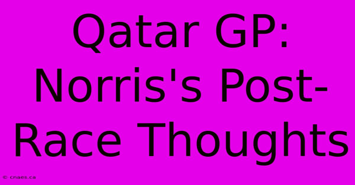 Qatar GP: Norris's Post-Race Thoughts