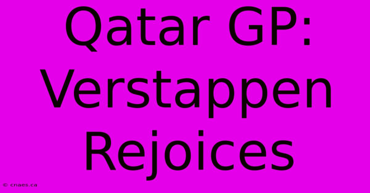 Qatar GP: Verstappen Rejoices