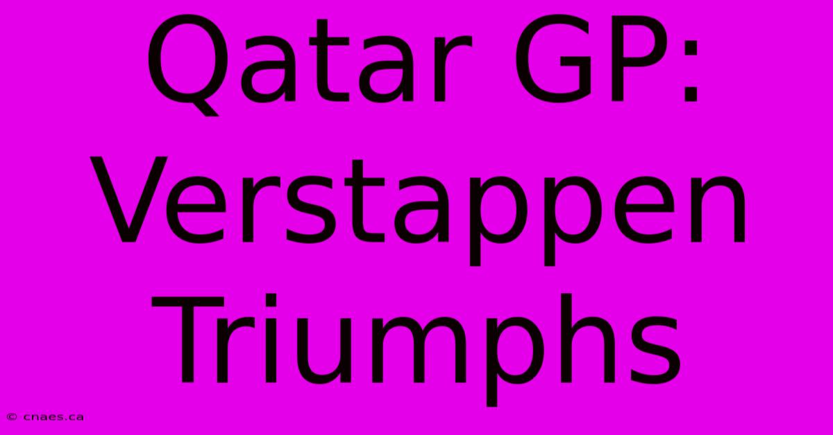 Qatar GP: Verstappen Triumphs