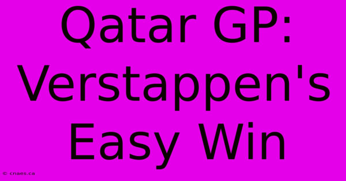 Qatar GP: Verstappen's Easy Win