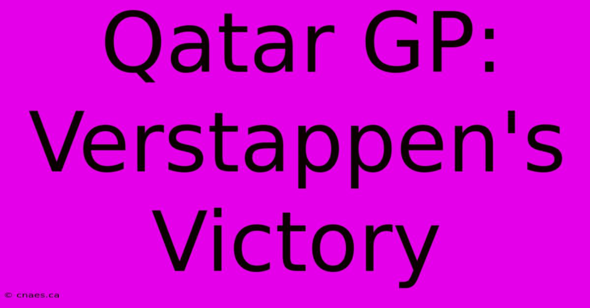 Qatar GP: Verstappen's Victory