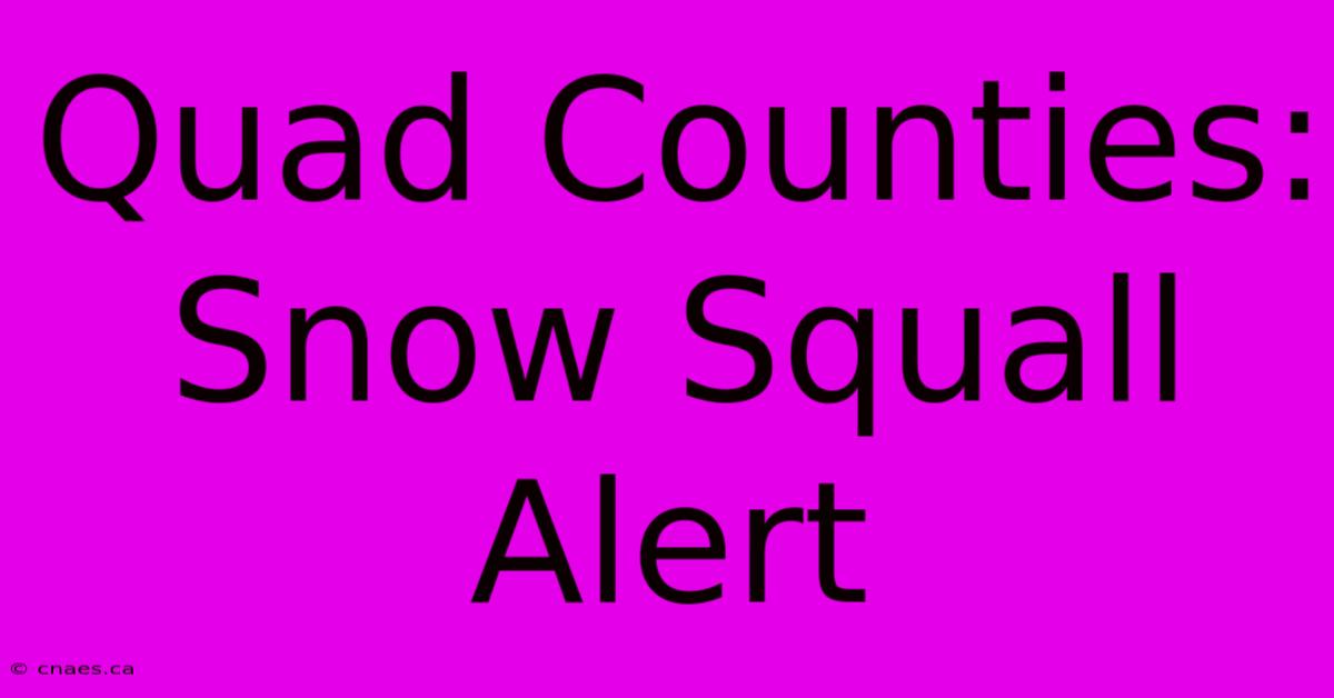 Quad Counties: Snow Squall Alert