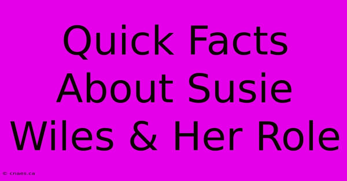 Quick Facts About Susie Wiles & Her Role