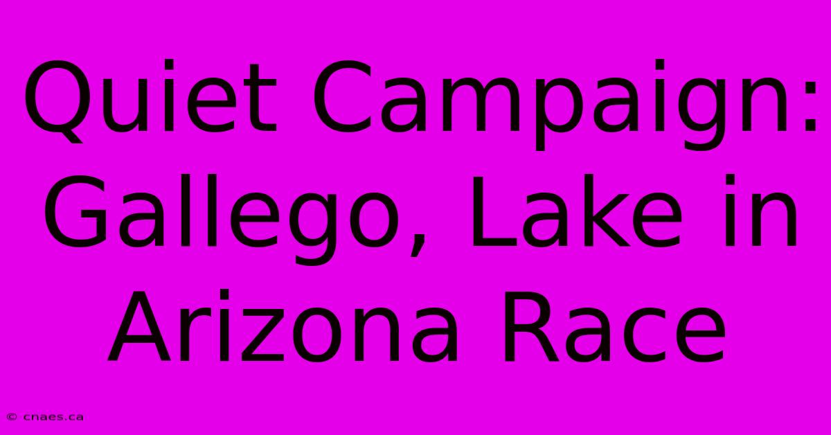 Quiet Campaign: Gallego, Lake In Arizona Race