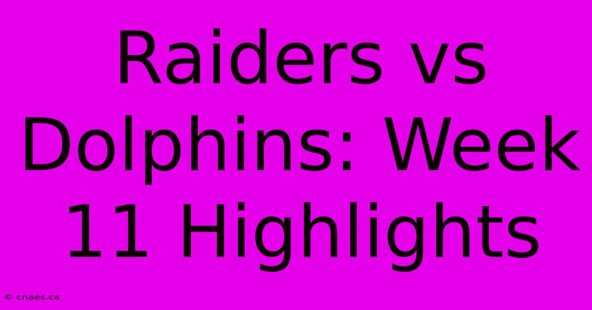 Raiders Vs Dolphins: Week 11 Highlights